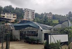 Almanya'dan Rize'ye döndü, kaktüsle işe başladı şimdi her ay 10 bine tane satıyor