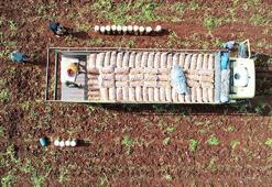 Tarlaya bereket yağdı! Ağustosta fiyatı en çok düşen ürün belli oldu