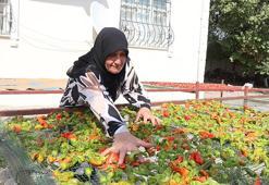 Geliri 50 katına çıkaran dev destek! 10 liralık ürünü 500 liraya satacaklar