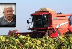 Edirne'de ayçiçeği hasadında feci olay! Tarlada fark etmedi, üzerinden geçti