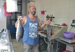 Sezon açıldı, tezgahlar şenlendi! En ucuzu 250 liradan başlıyor