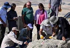 Van'ın köyünde ilk kez keşfedildi! Profesörler şaştı kaldı, yüzlercesi tek delikten çıktı