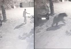 Erzincan'da ilginç olay! Köylüler gece saati ayının peşine düştü