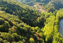 UNESCO Mirası gizli tünel Safranbolu'da çıktı! Görmek için sıraya giriyorlar, sadece 5 kilometre