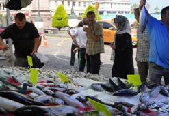 Tezgahlarda balık bolluğu var, hamsi için geri sayım başladı: Balıkçılar yolunu gözlüyor