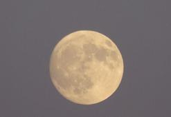 Van semalarında görüldü! Göz kamaştıran manzara