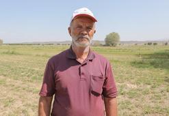 Iğdırlı çiftçi öyle bir projeye imza attı ki vali ziyaret edip teşekkür etti! Ağrı Dağı'nın eteklerinde bereketin kapısını açtı