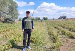 Aracılar daha çok kazanınca yöntemi değiştirdi! Yozgat'ta öğrencilik yaparken gelir kapısı buldu