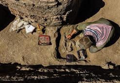 Konya'da 3500 yıllık şok edici keşif! 'İnsan bedenli kartal' figürü bulundu: 'Bebekleri gömüp yetişkinleri yakıyorlardı'