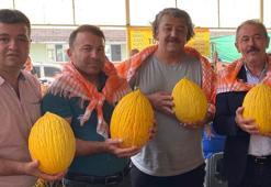 Denizli’nin asırlık miras Acıpayam kavunu tescillendi