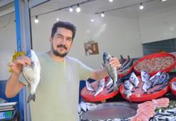 Ne tavuk ne de kırmızı et sofraların vazgeçilmezi balık! Bu yıl fiyatlar cep dostu olacak
