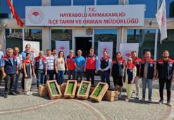 Hayrabolulu çiftçilere 1 milyon TL’lik fide desteği
