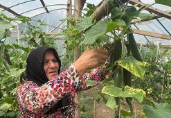 Giresunlu ev hanımı devlet desteğiyle üretime başladı! 'Evimize gelir kapısı oldu'