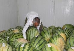 Diyarbakır'da karpuz hasadı yapıldı! Dev karpuzlar 4 derecede bekliyor! Sınır 25'ten 20 kiloya düştü