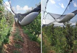 Isparta’da üreticileri yıkan dolu yağışı! Bir gecede ortaya çıkan zarar 170 Milyon TL