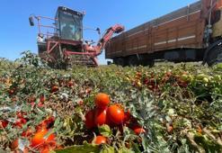 Tarımda plansızlık, üreticiyi zora sokuyor