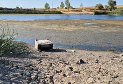 Tekirdağ'da endişe yaratan göründü! Sular çekildi, derin çatlaklar oluştu