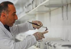 Diyarbakırlı girişimci akreplere yatırım yaptı! 1 gramı 12 bin dolara satılıyor: O belgeseli izledikten sonra harekete geçti