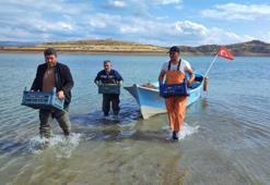 Kuraklık balıkçılığı vurdu! Yozgat'ta bir zamanlar ihraç edilen sazanlar iç piyasaya sürülmeye başlandı