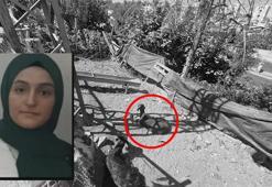 Diyarbakır'da korkunç ölüm! Yerde yatan keçiyi kaldırmak için dokundu canından oldu