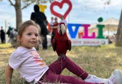 Kırklareli Pehlivanköy ilçesindeki Pavli Panayırı, 115’inci kez kapılarını açtı