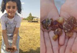 Çam sakızı şifa kaynağı oldu! Büyük ilgi görüyor