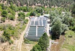 Isparta'nın saklı cenneti: Aksu Çayı'ndan dünya sofralarına Türk somonu!