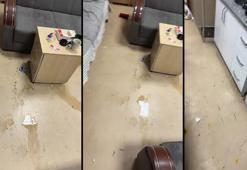 Diyarbakır'da doktora saldırı! Baba ve oğul psikiyatri kontrolü öneren doktoru darp etti