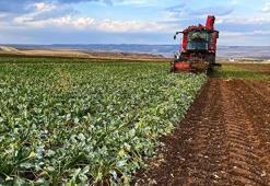 Çiftçilere müjde! Destek ödemeleri bugün hesaplara yatacak