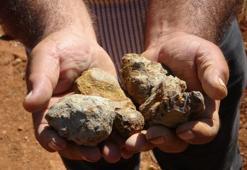 Yıllarca 'çıra' sandılar, meğer çok değerliymiş! Topraktan çıkan gizli hazine: Gramı altınla yarışıyor!