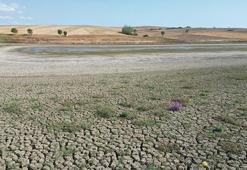 Tekirdağ'da kuraklık alarmı: Yeşilsırt Göleti kuruma noktasına geldi, balıklar telef oldu!