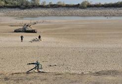 Bursa'da kriz kapıda! Ölümler her geçen gün artıyor! Muhtar kötü haberi verdi: Yok oldu