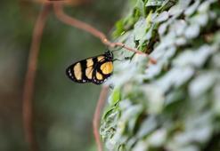 Konya turizmine büyük katkı: Ziyaretçi akını var! 272 bin ziyaretçiyi ağırladı