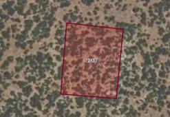 Bursa'da 54 bin TL'den parsel parsel satılıyor! Çok sayıda arsa ve tarla alıcılarını bekliyor