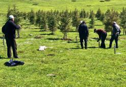 Tokat'ta halk girişimi sonuç verdi: 700 tanesi taşındı! Yaşam alanı oluştu