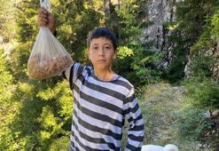 Artvinli çocuklar hafta sonları doğadan topladıkları sakızın kilosunu 5 bin TL'ye satıyor