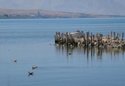 Van Gölü'nü bekleyen büyük tehlike: Kuraklık tarımı vurdu, sırada içme suyu var!