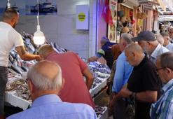 Balık tezgahlarında bereket var, buraya giden karlı çıkıyor! Ne alırsan 100 TL, kapış kapış gidiyor