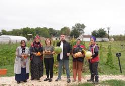 Ata tohumu yetiştiriciliğinde ilk hasat! Biber, salatalık, fasulye, patlıcan, karpuz ve kudret narı yetişiyor