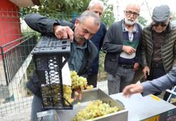 Hasat başladı, çiftçiye ücretsiz verildi! Bursa'da üretici bu makineyle güldü