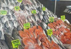 Egeli balıkçılar sezon açılışından memnun! Denizin bereketi tezgahlara aktı