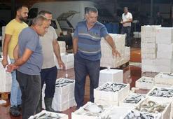 Av yasağı kalktı, tezgahlar bereketli! 1 kilo fiyatına 1 kasa balık