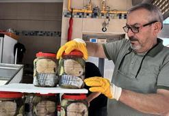 Sinop'ta sezonun ilk lakerdaları tezgahlarda: Kilogramı altınla yarışıyor