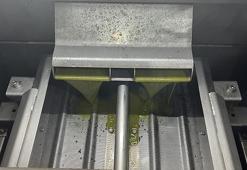 Erken hasat başladı! Bursa'da üretiliyor, dünyanın dört bir yanından sipariş yağıyor