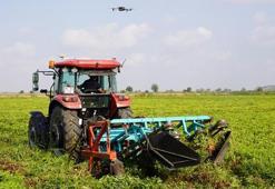 Osmaniye'de hasat başladı! Rekolte arttı: 3 bin 500 aile geçimini bu üründen sağlıyor
