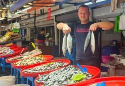 Marmara Denizi'nde balık bereketi sıcak havalara takıldı: Sezon açıldı, fiyatlar fırladı