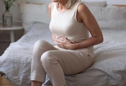 Doğal progesteron içeren bitkiler hangileri?