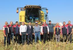 Tokat'ta yılın rekoru! 600 ton bekleniyor