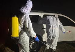 Gümüşhane'de şap alarmı! 5 köy karantinaya alındı