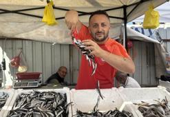 Tezgahlarda hamsi bolluğu! 100 liradan satılıyor